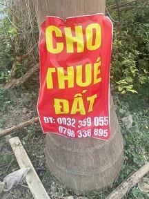 Cho Thuê Mặt Bằng Lâu Dài (trên 5 năm)2469140