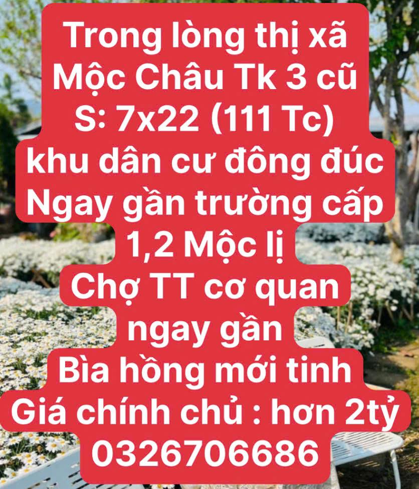 THÍCH HỢP XÂY VILLA MINI TẠI RỪNG THÔNG MỘC CHÂU2495344