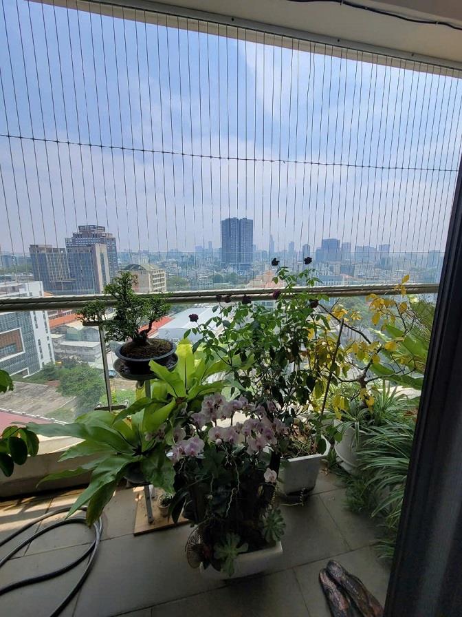 Chính chủ cần bán căn hộ chung cư Everich Infinitive 290 An Dương Vương2550806