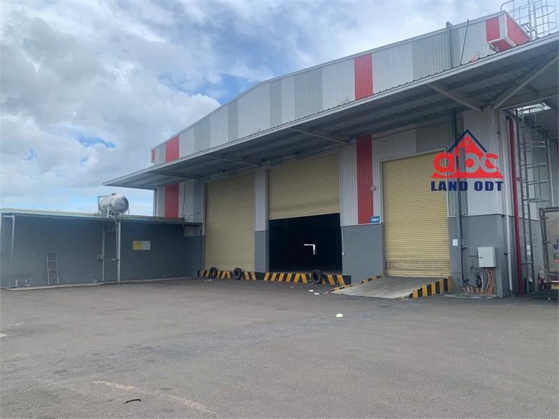 nhà xưởng sản xuất đầu tư đa dạng ngành nghề, kết cấu kiên cố, bàn giao liền2538192