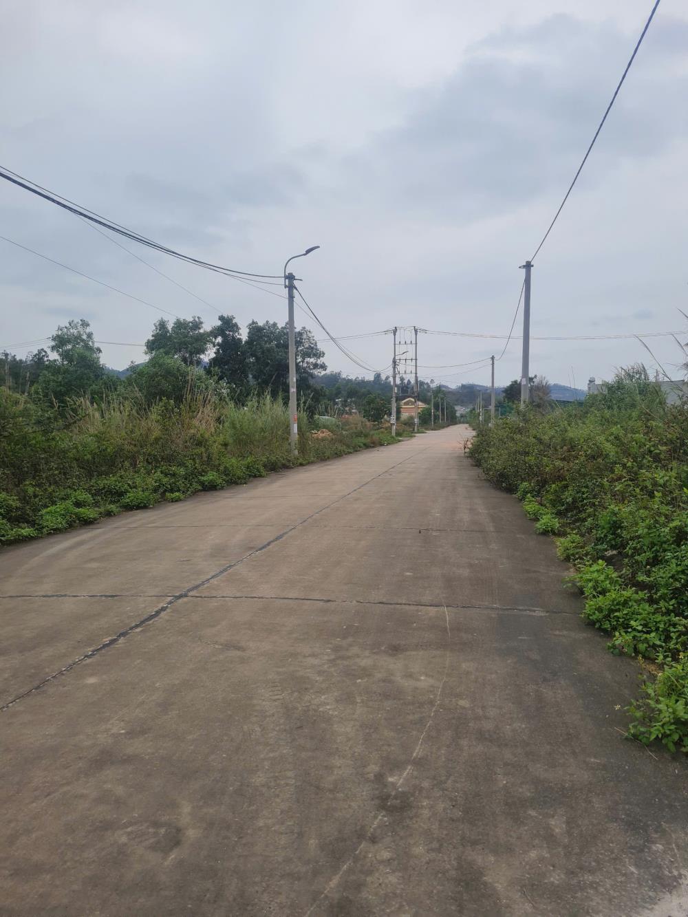 Bán đất Đấu Giá Nội Hoàng 90m2- Mặt Tiền 5m. Đường 17m- Giá 2,5 tỷ2578849