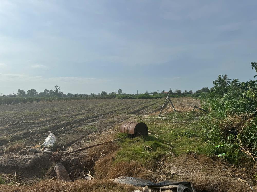 CHÍNH CHỦ CẦN BÁN LÔ ĐẤT VỊ TRÍ ĐẸP TẠI XÃ ĐỒNG SƠN- GÒ CÔNG TÂY – TIỀN GIANG.2605342