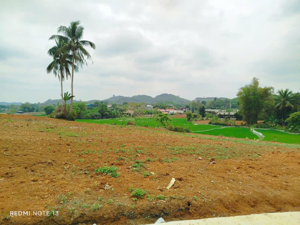 Đất nền cạnh sân bay Sao Vàng Thọ Xuân Thanh Hóa giá rẻ cần bán gấp.2577420
