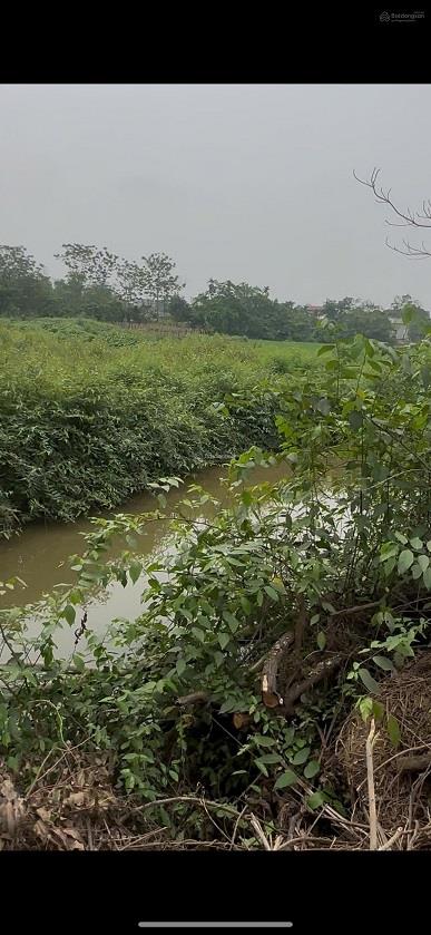 Siêu phẩm nghỉ dưỡng view suối ruộng núi, nở hậu mặt tiền 26m sổ đỏ sang tên trong ngày!2619733