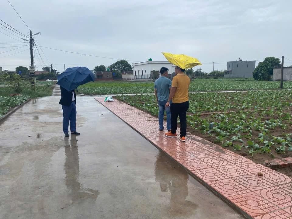 Sở hữu ngay lô đất SẴN SỔ ĐỎ mặt biển Quất Lâm giá đang còn SIÊU RẺ ạ2612015