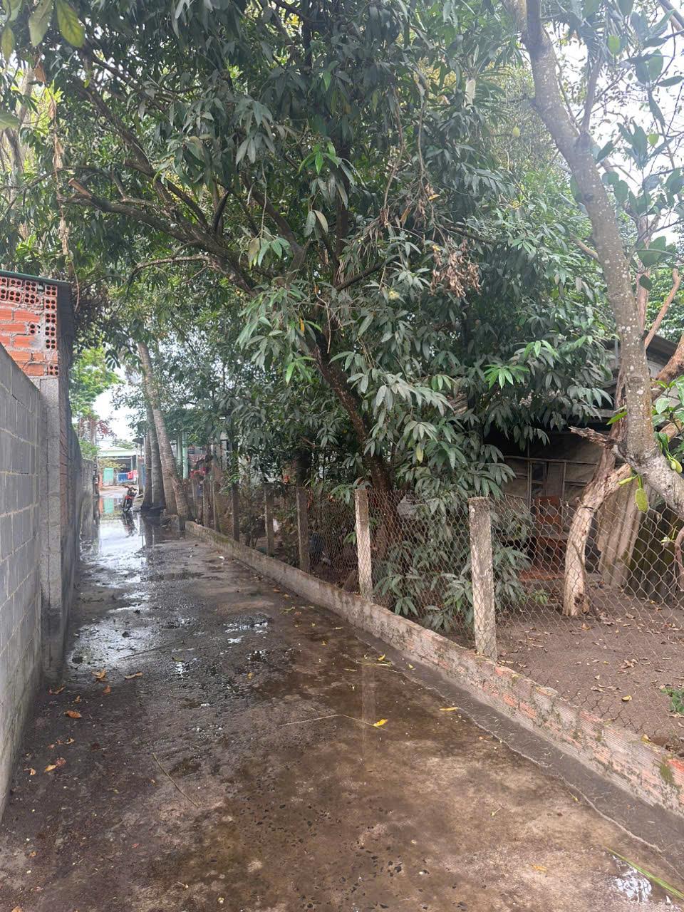 Bán đất ODT Tân Thiện - TX LaGi giá ngộp 750 triệu, sổ riêng2572855