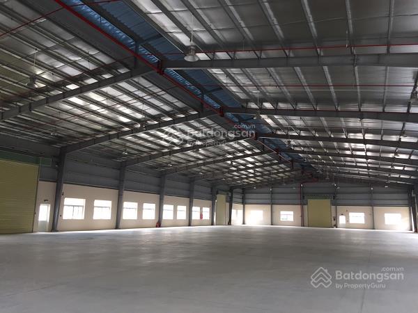 Cho Thuê Kho xưởng Văn Phòng gần cảng Chùa Vẽ, Hải An Hải Phòng2351381