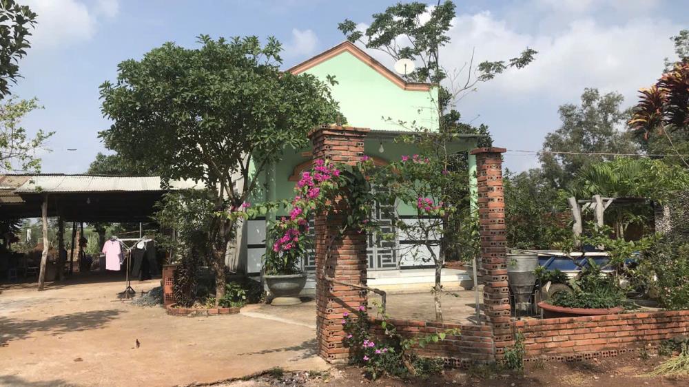 CHÍNH CHỦ CẦN BÁN ĐẤT TẠI: XÃ BÀU CẠN- HUYỆN LONG THÀNH TỈNH- ĐỒNG NAI2612131