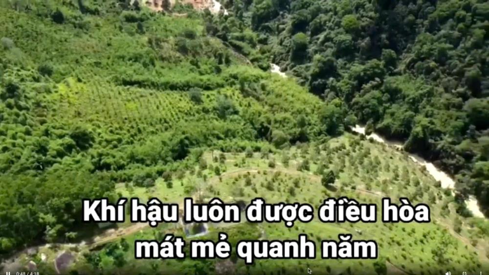 ✨PHẢI NHANH MỚI KỊP ✨ Đất lâm nghiệp làm khu sinh thái Lâm Đồng 72ha 45 tỷ có đàm phán2423559