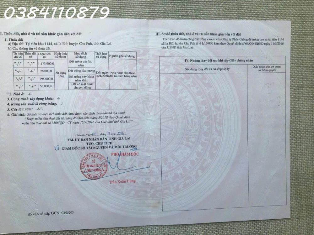 LÔ CAO SU KÈM TRANG TRẠI NHÀ XƯỞNG 741HA GIA LAI BÁN 190 TỶ2565043