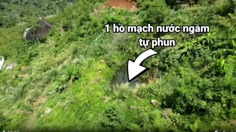 ✨PHẢI NHANH MỚI KỊP ✨ Đất lâm nghiệp làm khu sinh thái Lâm Đồng 72ha 45 tỷ có đàm phán2423557