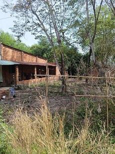 Chính chủ bán 929m2 đất tại Tân Định, Bắc Tân Uyên - Sẵn thổ cư.2446201