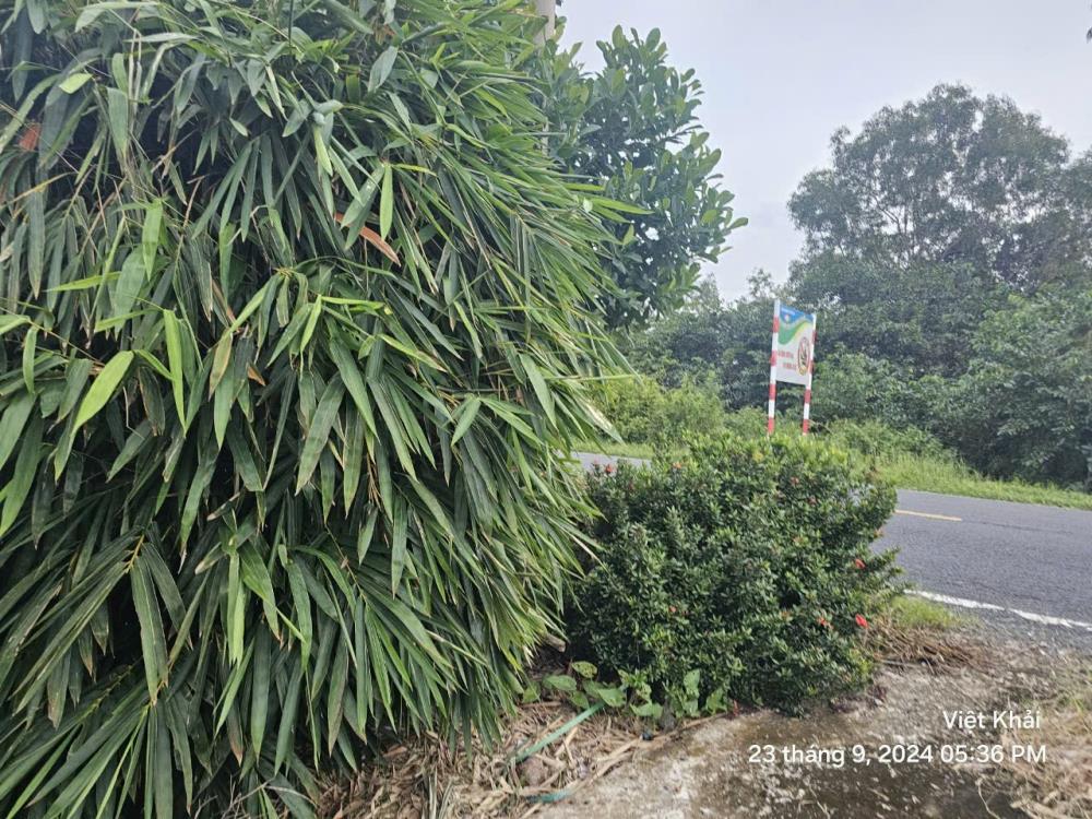VỊ TRÍ ĐẸP - ĐẦU TƯ SINH LỜI - Chính Chủ Cần Bán Lô Đất Mặt Tiền Đường Xuyên Á, Xã Thới Bình, Cà Mau2571811