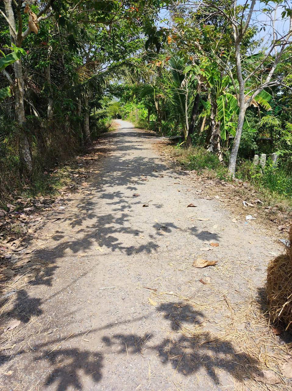 CHÍNH CHỦ Bán Đất Vườn Tại Xã Long Phước, Huyện Long Hồ, Vĩnh Long2422739