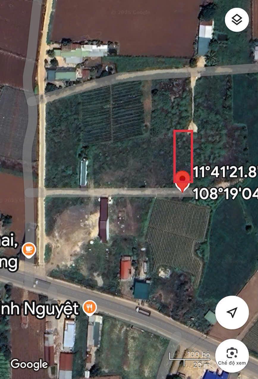 CẦN BÁN NHANH LÔ ĐẤT  MẶT TIỀN TẠI Xã Phú Hội , huyện Ðức Trọng, tỉnh Lâm Đồng2596935