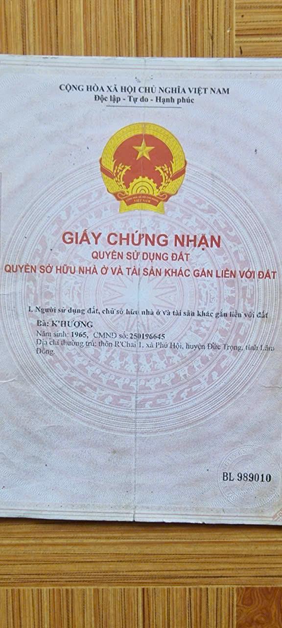 CỰC HÓT - CHÍNH CHỦ CẦN BÁN Đất vườn, cây ăn trái đã thu hoạch được Phú Hội, Đức Trọng, Lâm Đồng2437467
