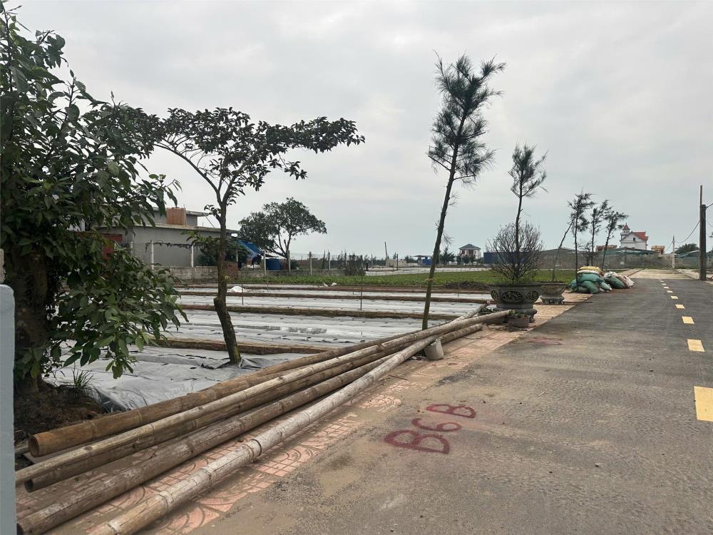 Chủ cần tiền bán đất ven biển Quất Lâm2607220