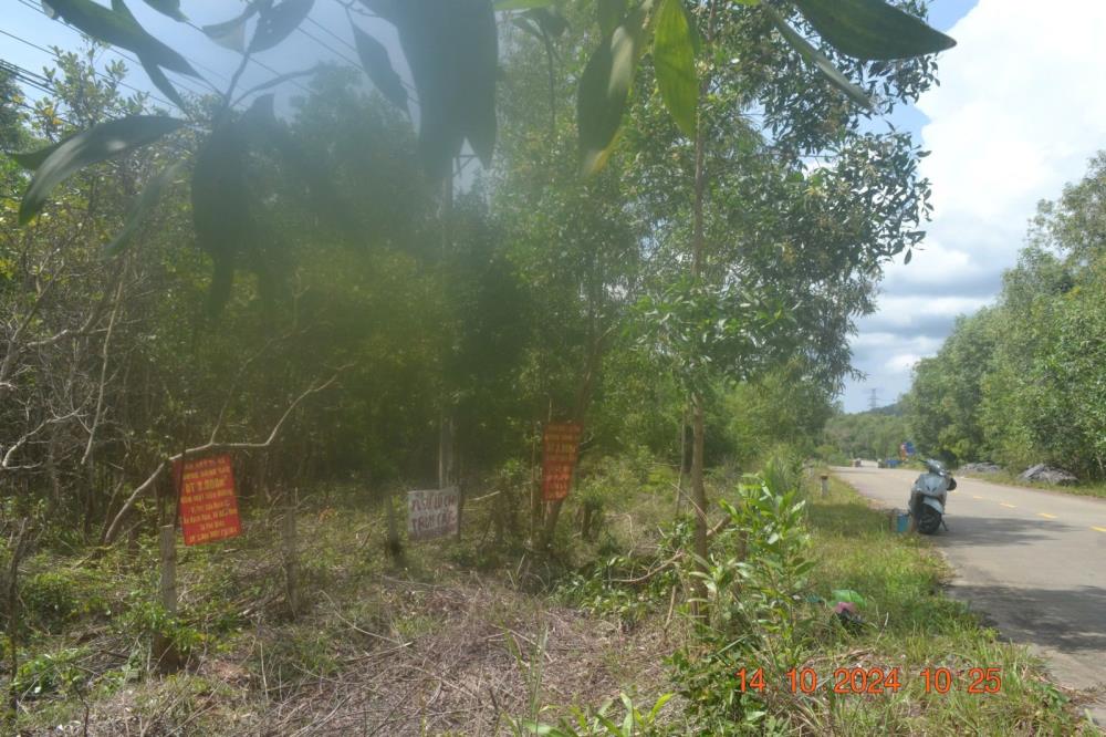 CHÍNH CHỦ CẦN BÁN LÔ ĐẤT ĐƯỜNG ĐÔNG ĐẢO, PHƯỜNG HÀM NINH2546267