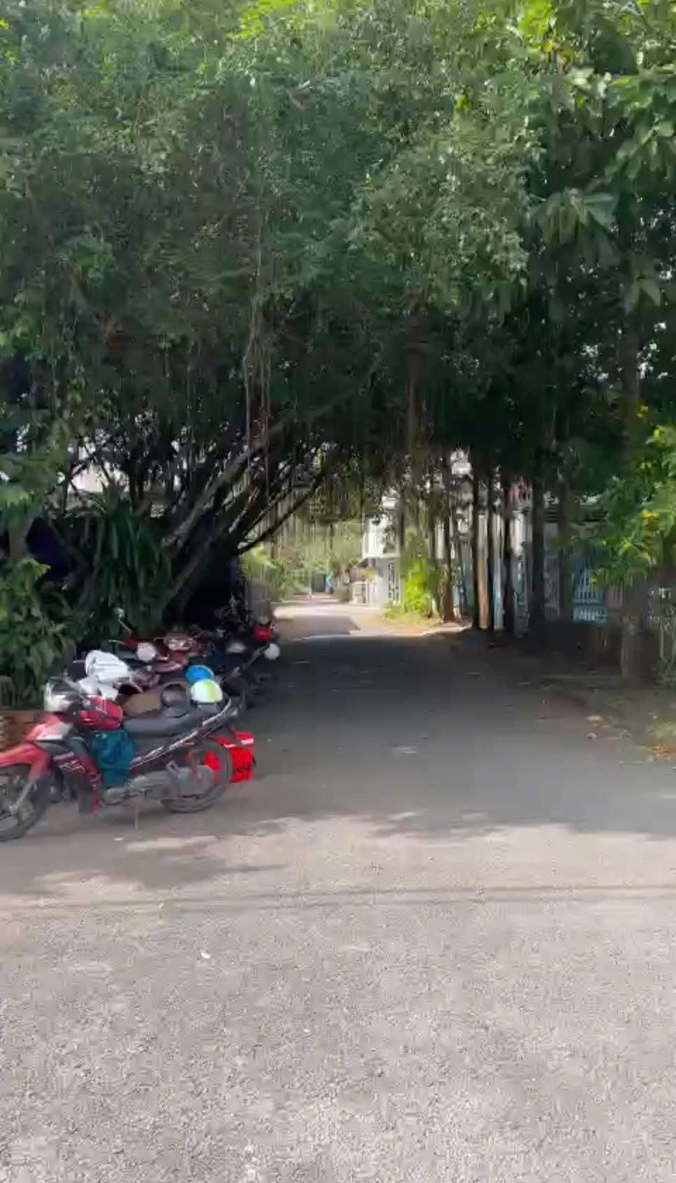 Chính Chủ Cần Bán Đất Tại Cụm Dân Cư Trung Tâm, Xã Tân Nhuận Đông, Châu Thành, Đồng Tháp2516826