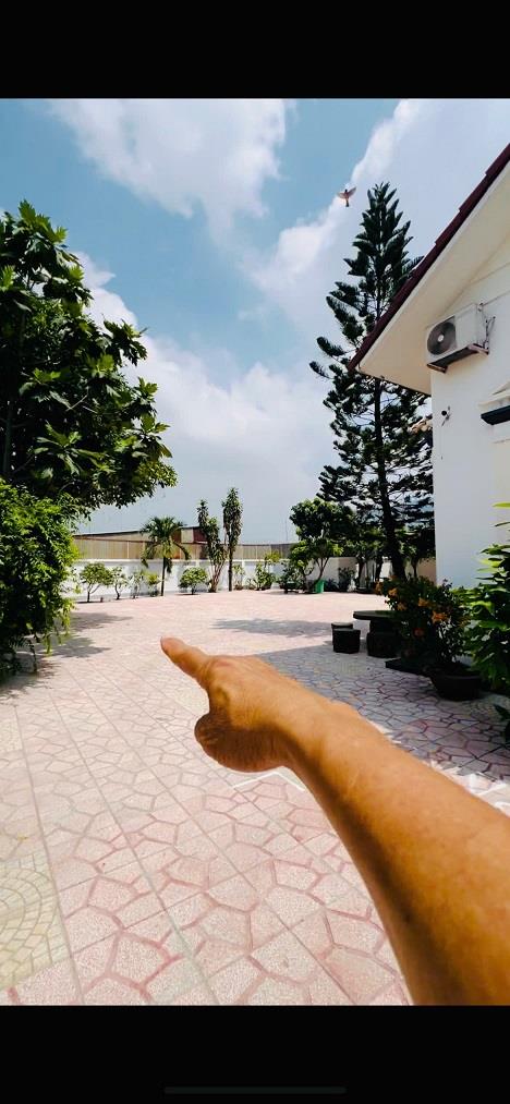 Cho Thuê Biệt Thự Giá Rẻ tại 162 đường Nguyễn Cửu Phú Xã Tân Kiên, Bình Chánh, TP Hồ Chí Minh2417223