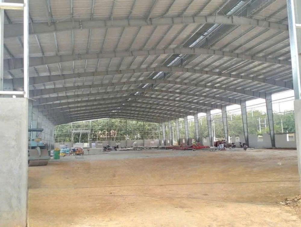 CHO THUÊ NHÀ XƯỞNG 18000M SẢN XUẤT TẠI AN LẬP - AN ĐIỀN BẾN CÁT BÌNH DƯƠNG2494637