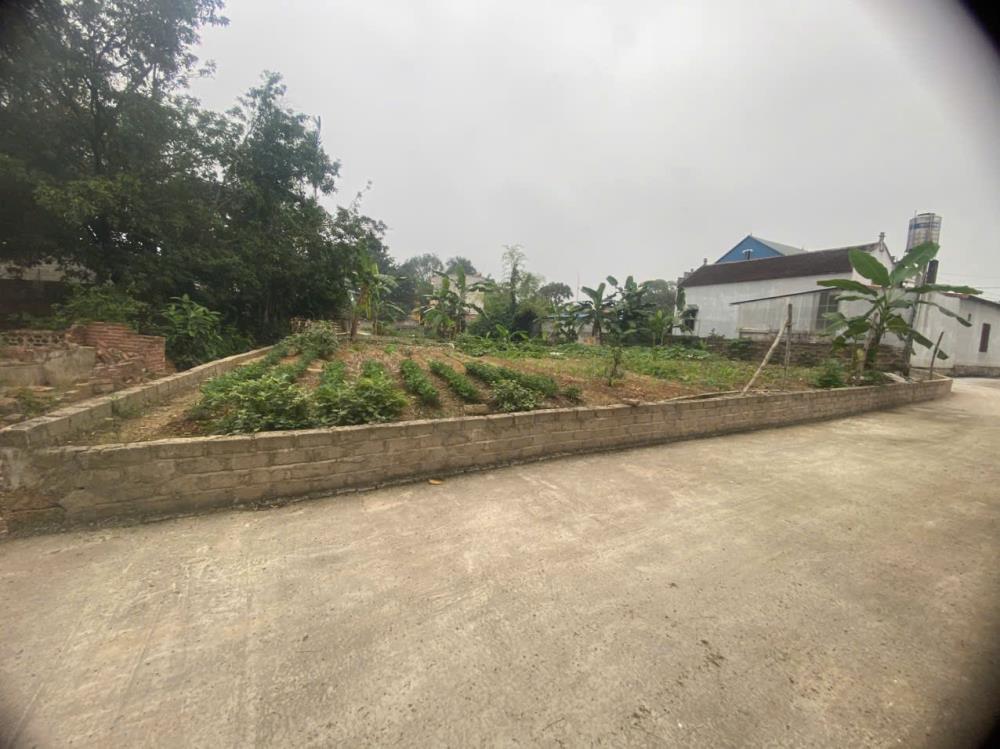 CHÍNH CHỦ BÁN 3LÔ ĐẤT TẠI NAM PHƯƠNG TIẾN-CHƯƠNG MỸ-HÀ NỘI2626768