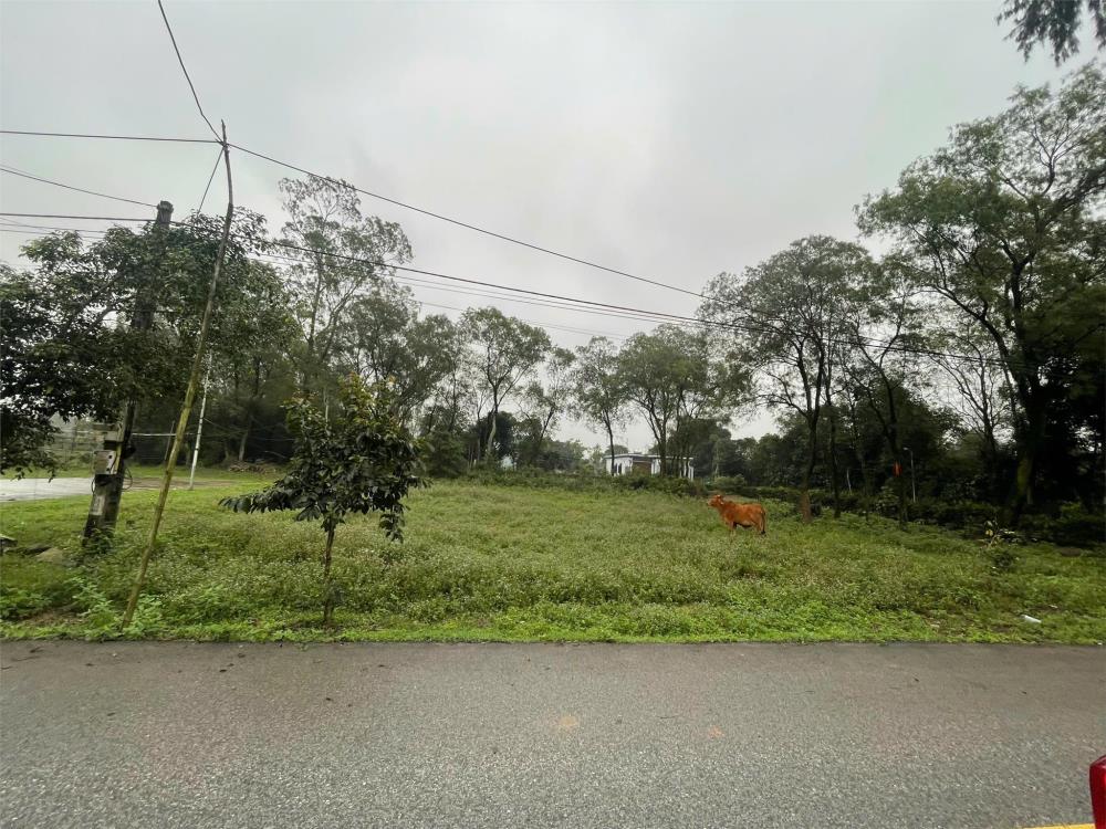 CHÍNH CHỦ Cần Bán 2 Lô Đất đẹp Tại  Đường Giang Viên Lĩnh và Thị Trấn Tiên Điền, Huyện Nghi Xuân, Hà Tĩnh.2505541