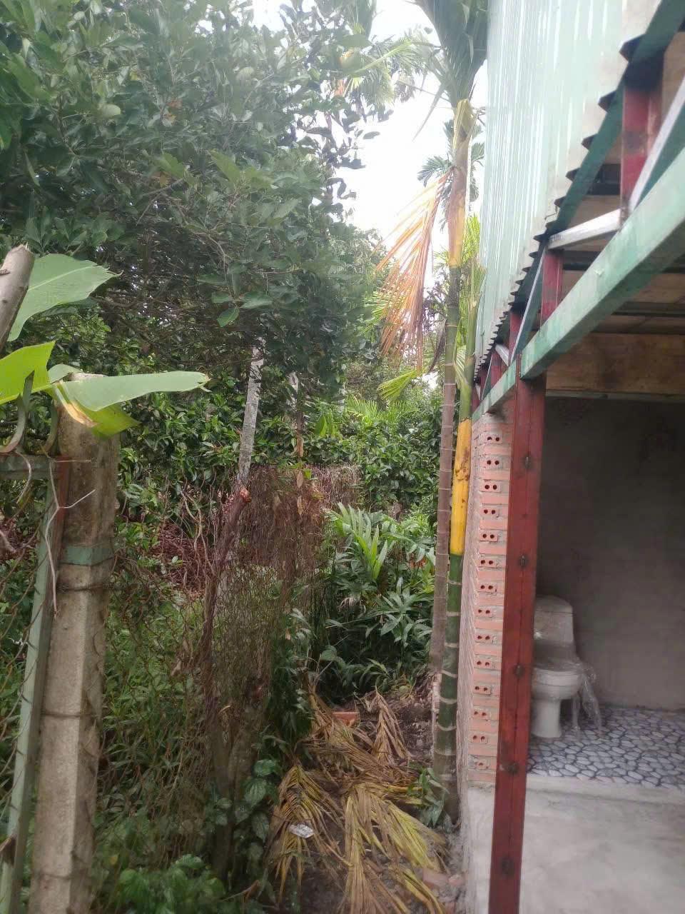 Cho Thuê Đất Sân Vườn Tân An, Thủ Dầu Một, Bình Dương – Diện Tích 2.000m², Giá 36 Triệu/Tháng. Liên hệ: Chothuexuongmiennam.com - 03666320922664069