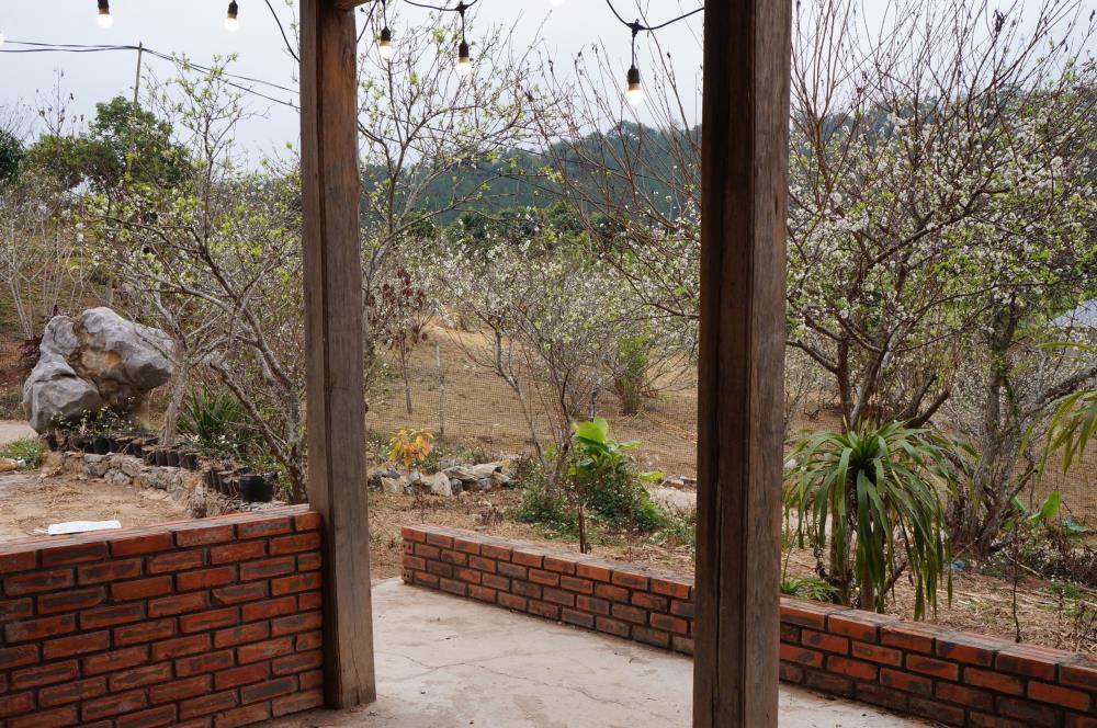 Bán Đất View Đẹp Tại Khu Du Lịch Cộng Đồng Tổ Vặt Hồng, P. Mường Sang, TX Mộc Châu2390124