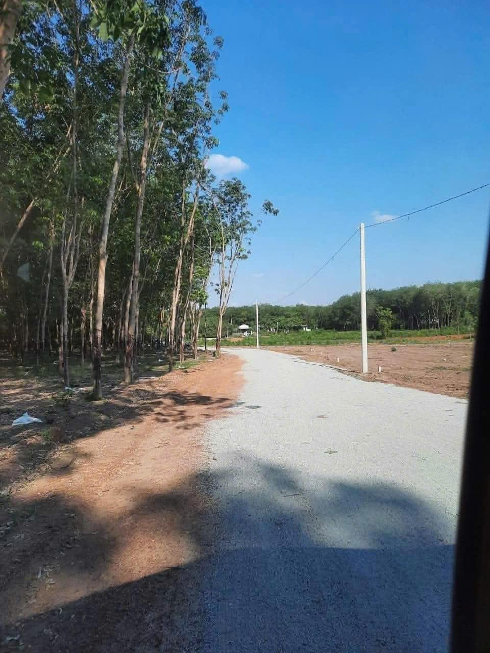 ĐẤT  7370M2 ĐẤT NGAY KHU CÔNG NGHIỆP MINH HƯNG SIKICO  - HỚN QUẢN - BÌNH PHƯỚC --( CHÍNH CHỦ GIÁ 4.5 TỶ )2571892