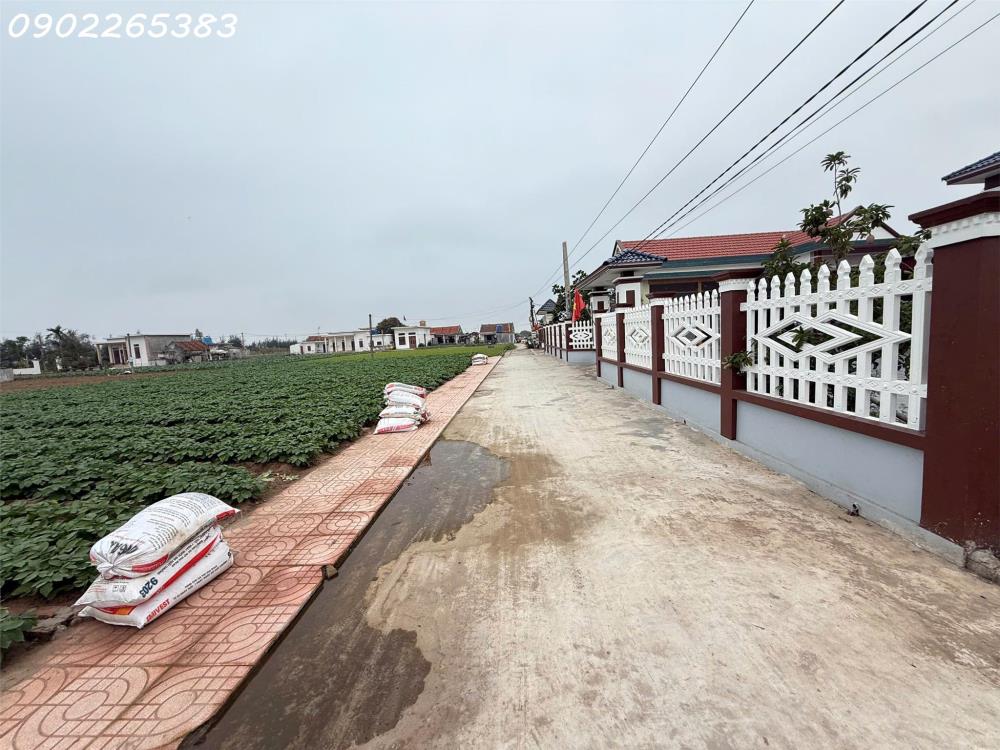 Chính chủ cần bán gấp đất nền 101m2 xã Giao phong giá rẻ siêu hời 800 triệuVNĐ2605196