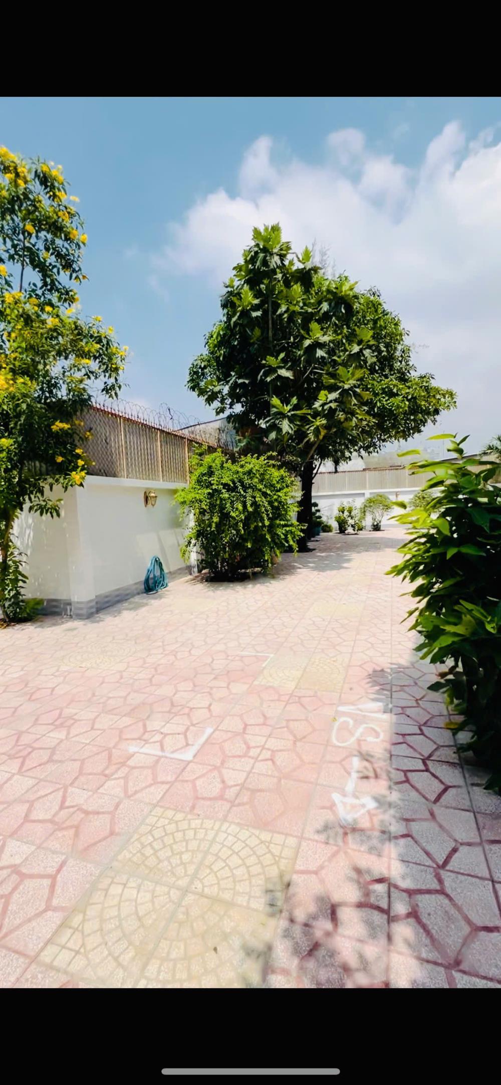 Cho Thuê Biệt Thự Giá Rẻ tại 162 đường Nguyễn Cửu Phú Xã Tân Kiên, Bình Chánh, TP Hồ Chí Minh2507412