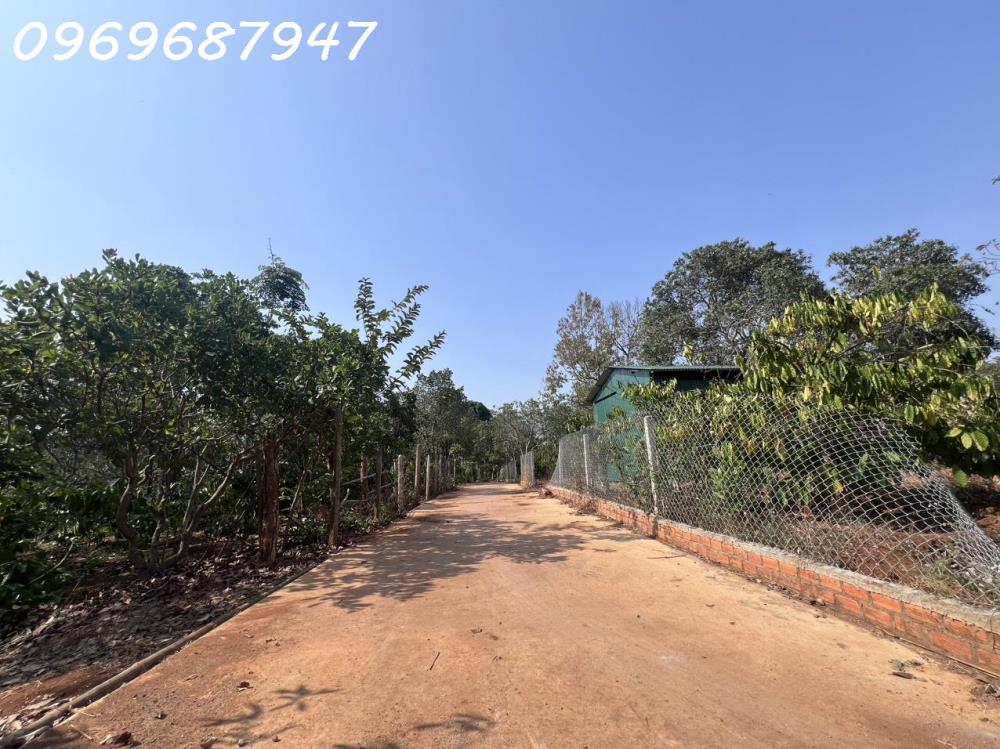 BÁN LÔ ĐẤT 1.7HA - GẦN HỒ SINH THÁI - X.EA KAO-TP.BUÔN MA THUỘT - 450TR/ SÀO2518544