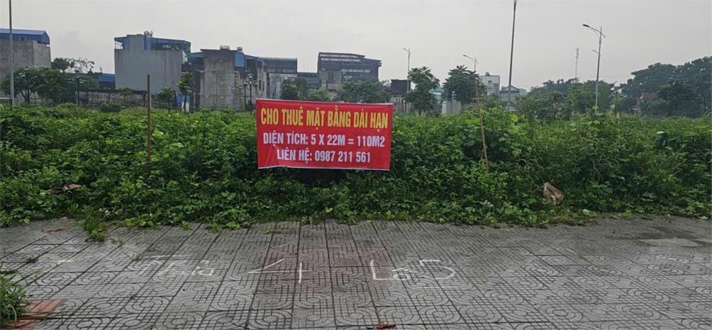 CHÍNH CHỦ Cho Thuê Đất Dài Hạn Mặt Tiền Đường Lưu Hữu Phước, Phường Lộc Hạ, TP Nam Định2417914