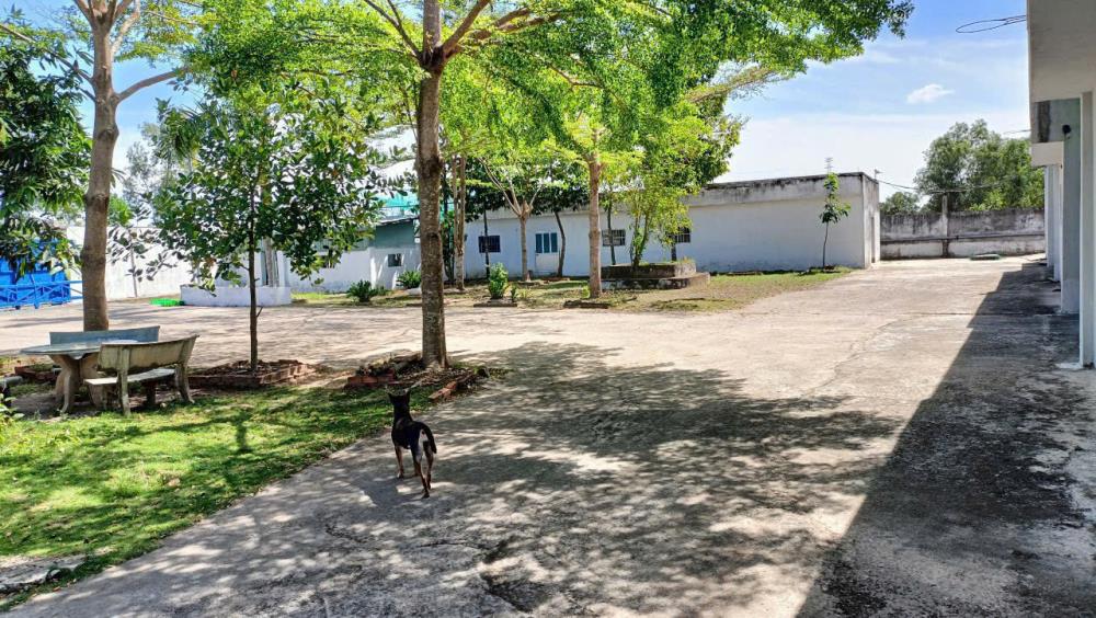 CHUYỂN NHƯỢNG – BÁN KHO XƯỞNG TẠI ĐỨC HÒA, LONG AN  Liên hệ ngay: 03666320922445201