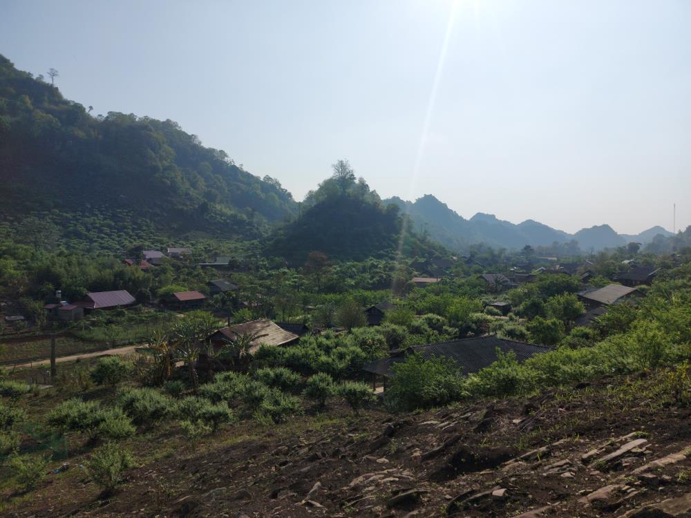 Cơ Hội Sở Hữu Đất Đẹp Nhất Bản Tà Số – Trung Tâm Nghỉ Dưỡng Tại Mộc Châu2501667