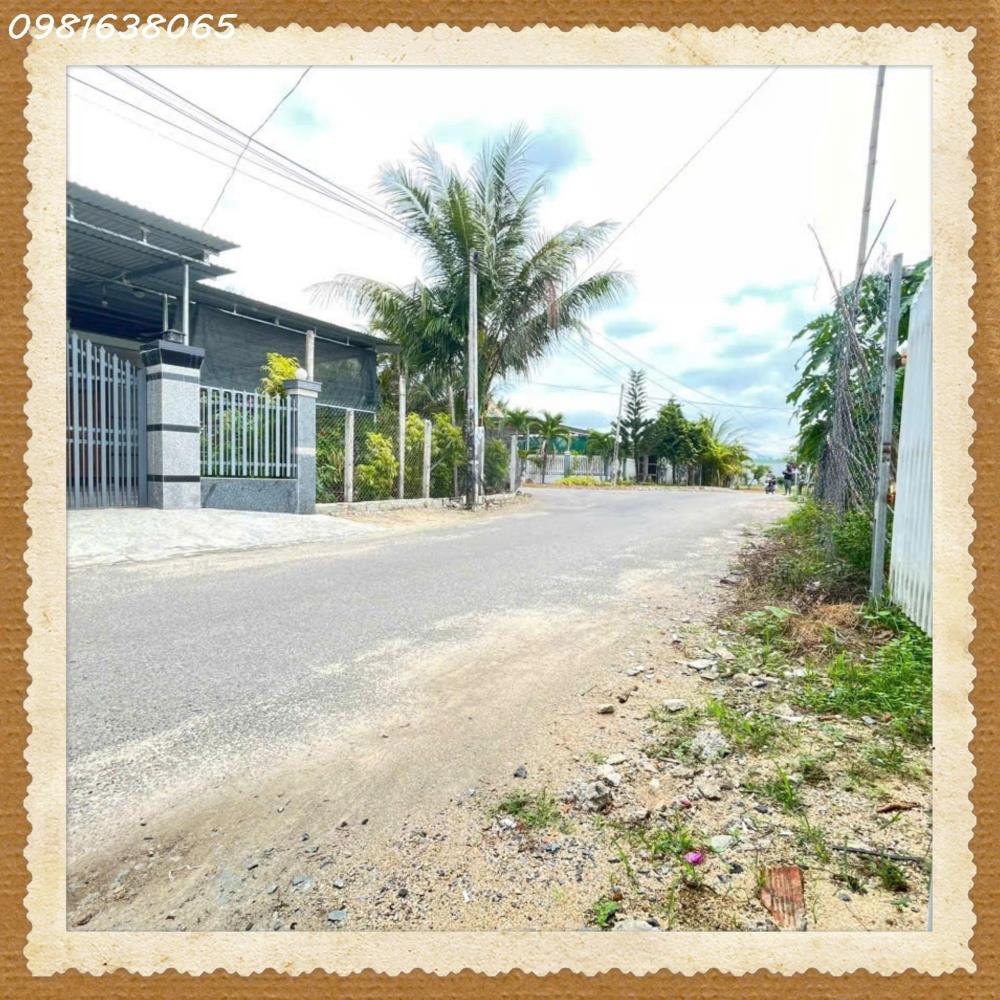 SẢN PHẨM MỚI 2025, ĐẤT SUỐI TIÊN, DIÊN KHÁNH,  Đất ở MẶT TIỀN MUA BÁN KINH DOANH2424672