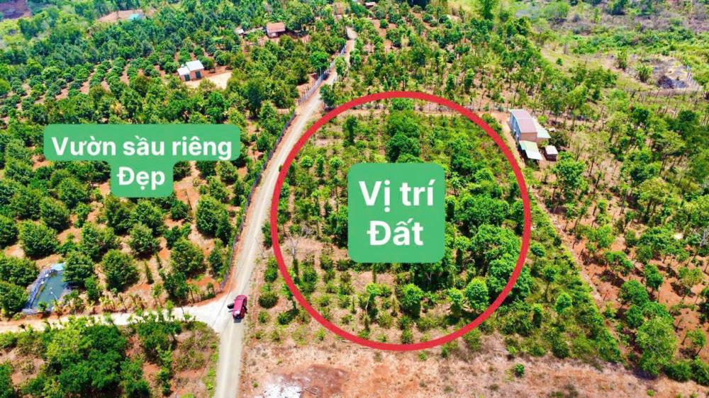Cực hót chỉ 139tr sở hữu sổ hồng hơn 500m2đất đỏ bazan  vườn đầy cây trái2447000