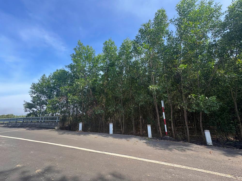 CHÍNH CHỦ CẦN BÁN LÔ ĐẤT ĐẸP TẠI ẤP 3, HÒA HỘI, MỘC XUYÊN BÀ RỊA- VŨNG TÀU2603145
