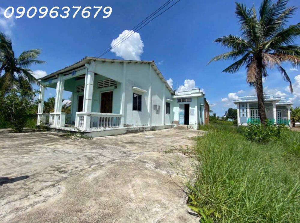 Gấp gấp Bán Nhà vườn có diện tích vuông vức (300m2 Thổ + 1004m2 vườn) Xã Tân Chánh H cần Đước Long an2603284