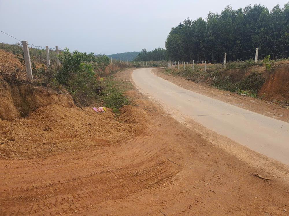 ĐẤT RỪNG ĐẸP - GIÁ TỐT - Vị Trí Đắc Địa Tại Xóm Hồng, Xã Bảo Hiệu, Huyện Yên Thủy, Tỉnh Hoà Bình2625249