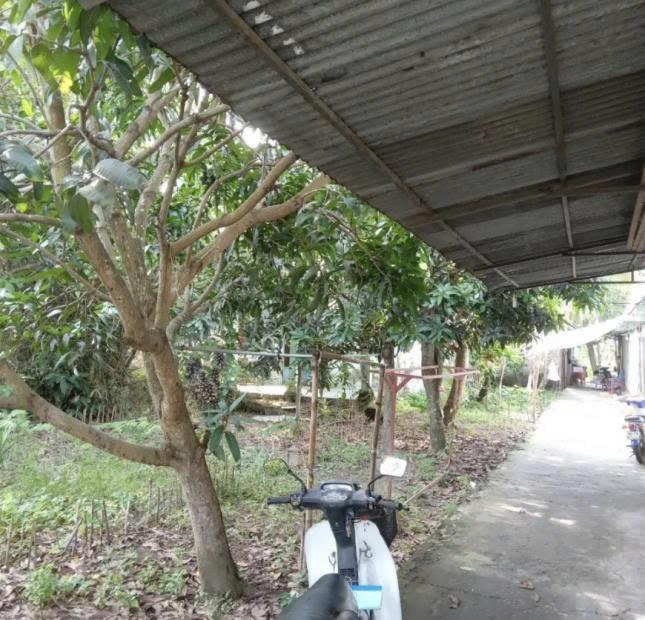Cần Bán 1 Lô Đất Mặt Tiền Vị Trí Đẹp Có Sẵn Nhà Rộng Rãi Vào Ở Ngay Tại Nguyễn Văn Khải, Thị trấn Mỹ Thọ, Huyện Cao Lãnh, Đồng Tháp2493820