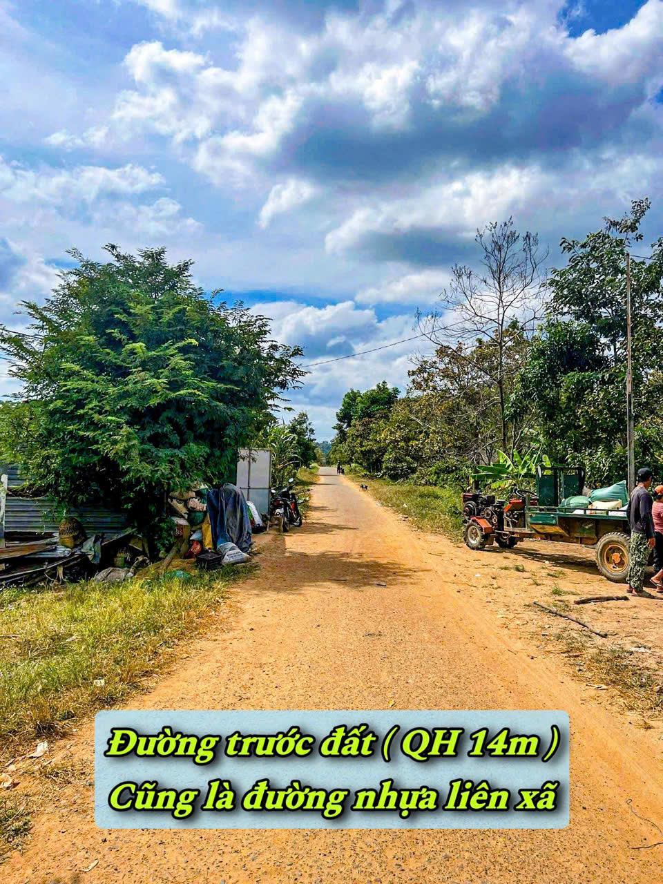 Ea Sin-Krong Busk- Đắk Lắk diện tích 260m2 sẵn 100m2 thổ cư kdc mặt tiền nhựa giá chỉ 149tr sổ sẵn2575939