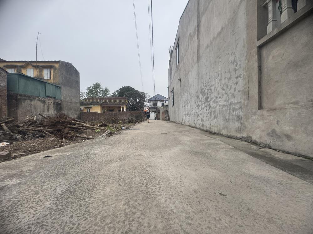 Cần bán 56m tại Cát Lư, Chỉ Đạo, Văn Lâm, MT hơn 5m giá nhỉnh 1ty2528400