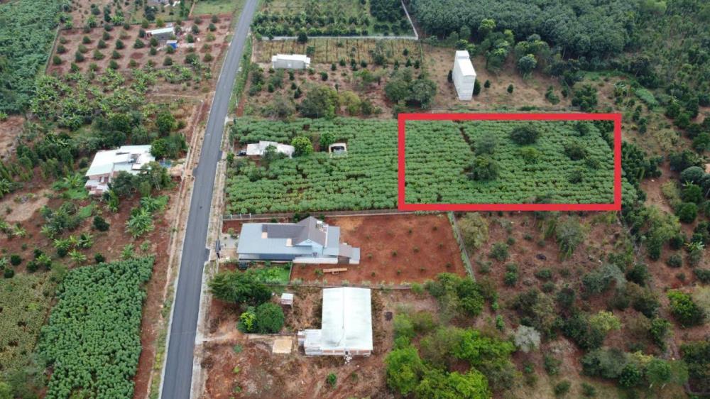 Cơ Hội Đầu Tư Sinh Lời Cao Tại Xã Đá Bạc, Huyện Châu Đức, Bà Rịa – Vũng Tàu

Vị trí vàng – Tiềm năng phát triển vượt trội – Giá trị gia tăng bền vững.2568060