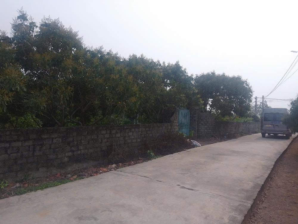 CẦN BÁN LÔ ĐẤT 2 MẶT TIỀN_PHƯỜNG TRÙ HỰU_THỊ XÃ CHŨ-BẮC GIANG2580701