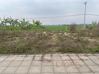 CHÍNH CHỦ CẦN BÁN ĐẤT NỀN DỰ ÁN ECO TAM NÔNG,PHÚ THỌ2616198
