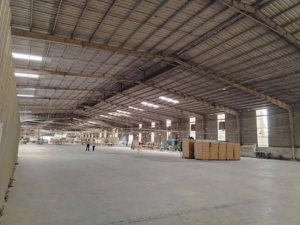 CHO THUÊ 17.000M NHÀ XƯỞNG SẢN XUẤT GỖ TẠI THUẬN AN BÌNH DƯƠNG2562195
