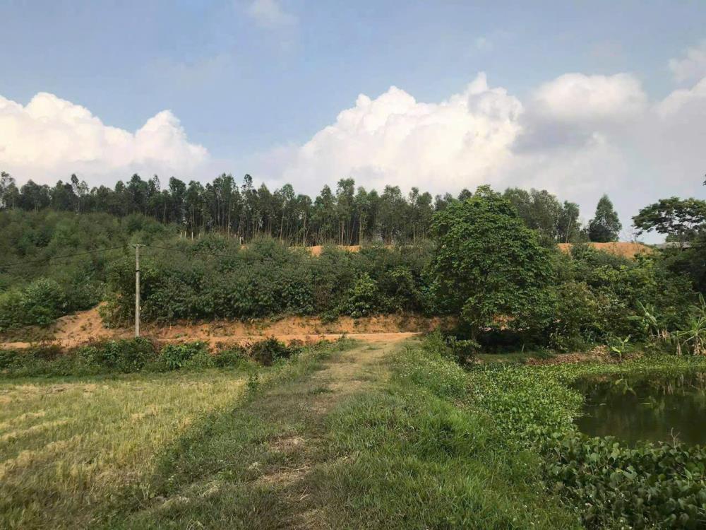Chuyển hướng kinh doanh gia đình cần nhượng lại hơn 7000m22527841