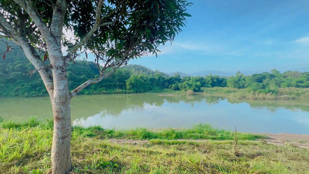 Bank định giá 5.1 tỷ bán lỗ 3.8 tỷ. 2653m2 qh full thổ cư 2025. Mặt sông 95m.2370120
